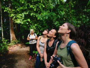 Reisegruppe sucht Tiere im Baum