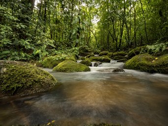 Kleiner Fluss im Regenwald bei La Tigra
