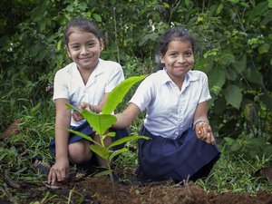 Zwei Schulmädchen aus La Tigra pflanzen einen Baum