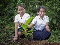 Zwei Schulmädchen aus La Tigra pflanzen einen Baum
