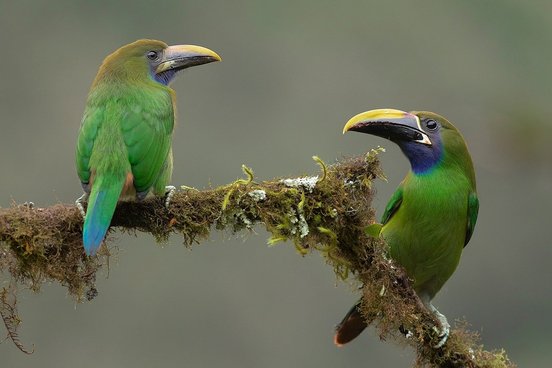 Costa Rica Fotoreise