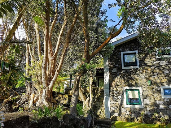 Uriges Steinhaus und schöne, alte Bäume