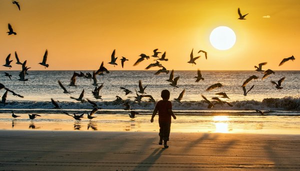 Kleines Kind verjagt Möwen am Strand bei Sonnenuntergang