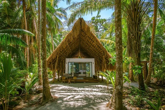 Hotel Isla Palenque Huette im Regenwald