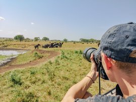 Ein Tourist fotografiert eine Elefantenherde