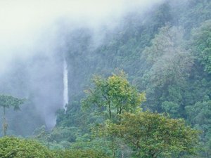 Costa Rica Regenwald im Nebel mit Wasserfall