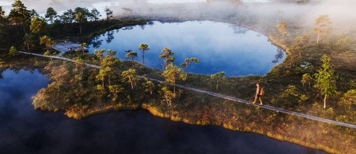 Estlands Moorlandschaften sind auf Holzwegen gut zu bewandern