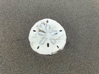 Strandtaler im Sand