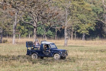 Eine Frau sitzt in einem offenen Geländewagen
