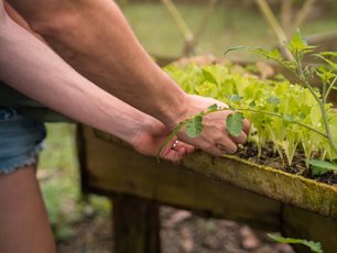 Köchin in La Tigra präsentiert das Essen