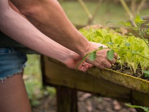Köchin in La Tigra präsentiert das Essen