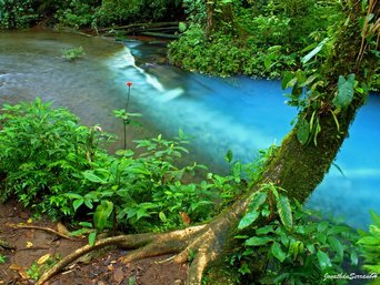 Türkisblauer Fluss Rio Celeste