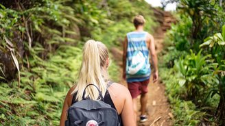 Zwei Menschen laufen im Dschungel für ein Trekking