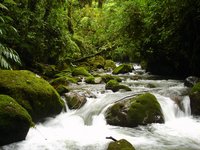 Regenwaldfluss in Costa Rica