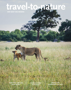 travel-to-nature Magazin Magazin-Cover von travel-to-nature mit einer Löwenmama und ihrem Baby