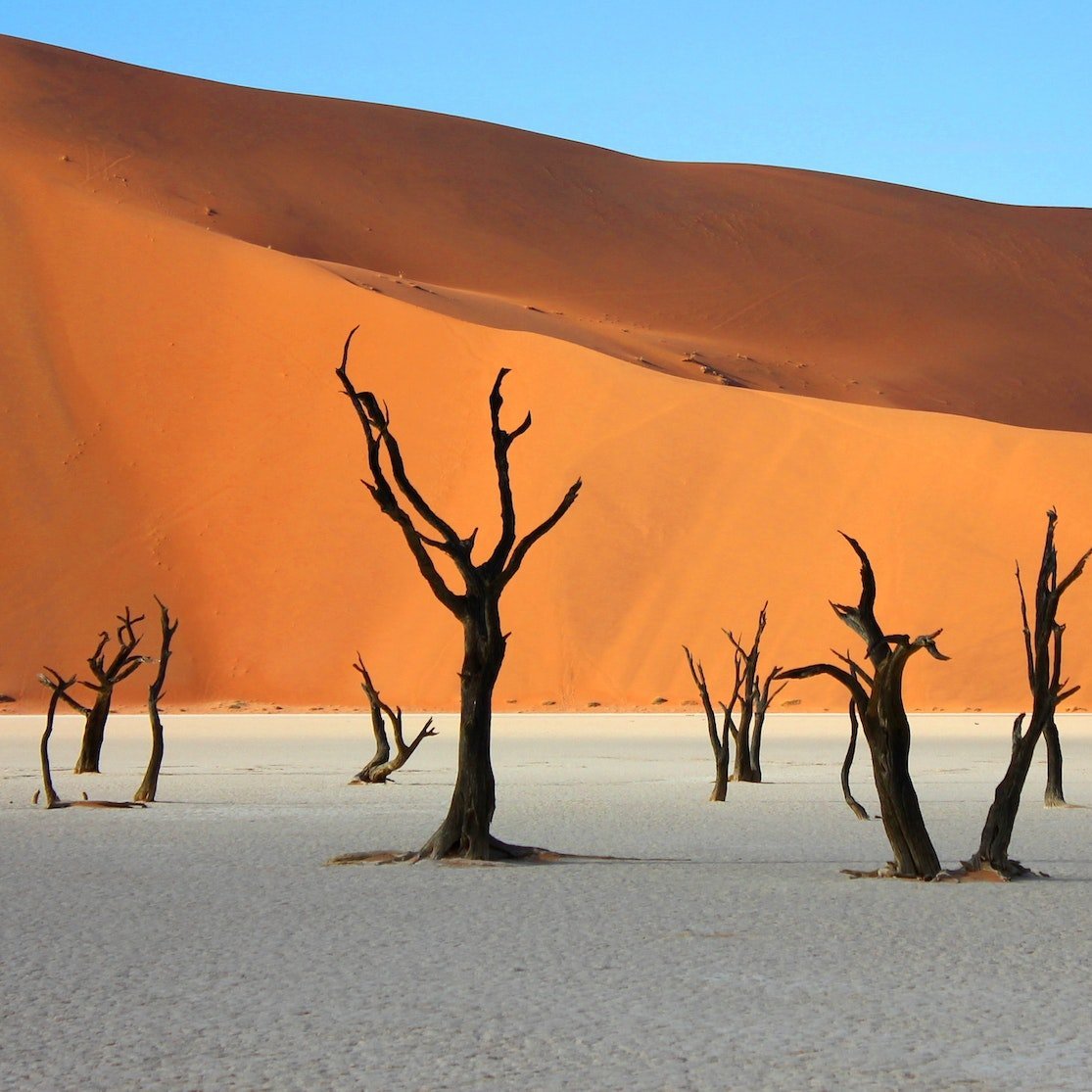 Beste Reisezeit Namibia