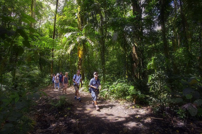 Reisegruppe wandert im Regenwald von Costa Rica