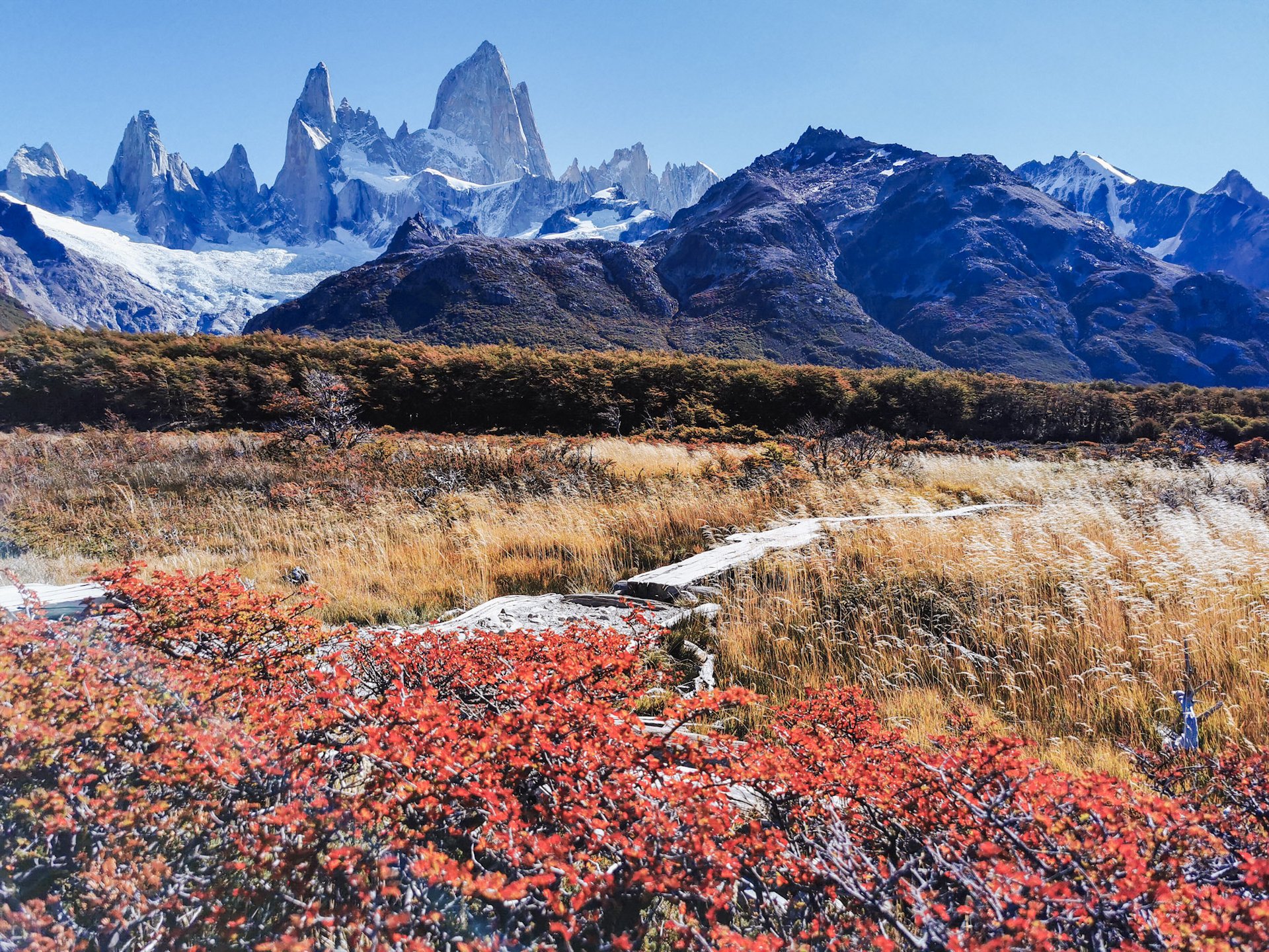 Wildes Patagonien Mietwagenreise traveltonature