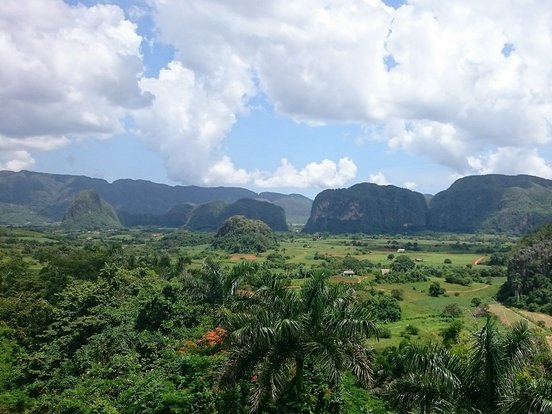 Grüne Landschaft bei bewölktem Himmel