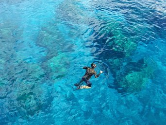 Ein Schnorchler im Meer vor Costa Rica