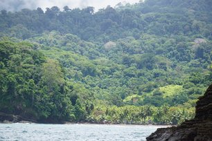 Blick vom Boot aufs Meer und den Regenwald