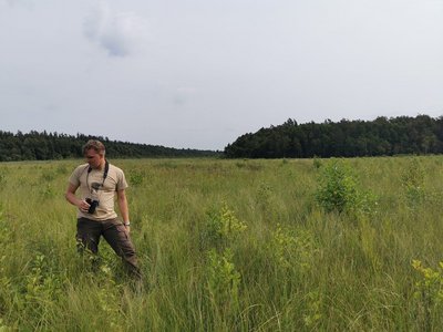 Ein Mann steht in einem baltischen Moorgebiet