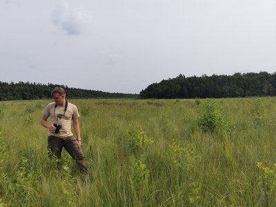 Ein Mann steht in einem baltischen Moorgebiet