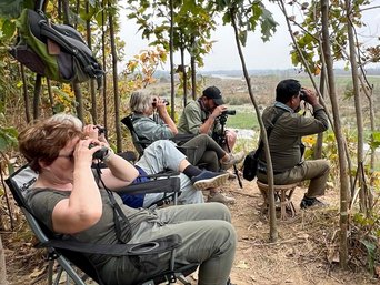 Tigerbeobachtung vom Ansitz
