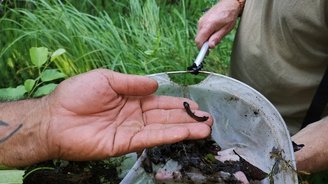 Die helfenden Hände für den Natuschutz haben in der Erde Tiere entdeckt und halten sie in der Hand