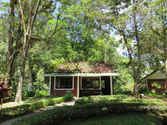 Selva Negra Lodge im Wald von der Huette