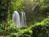 Wasserfall in mystischem Licht im Regenwald