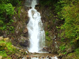 Ein Wasserfall umringt von dichtem Grün in Boquete.