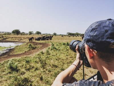 Fotograf fotografiert eine Elefantenherde an einem Wasserloch in Uganda