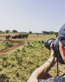 Fotograf fotografiert eine Elefantenherde an einem Wasserloch in Uganda