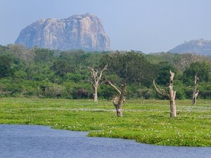 Sri Lanka Nationalpark
