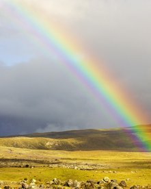 Regenbogen über schöner Landschaft