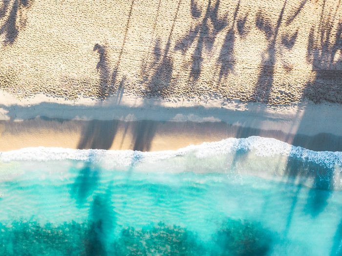 Strand und Meer von oben und Schatten von Palmen