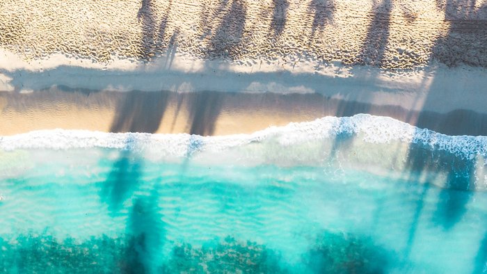 Strand und Meer von oben und Schatten von Palmen