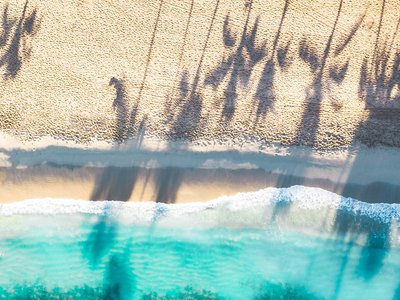 Strand und Meer von oben und Schatten von Palmen