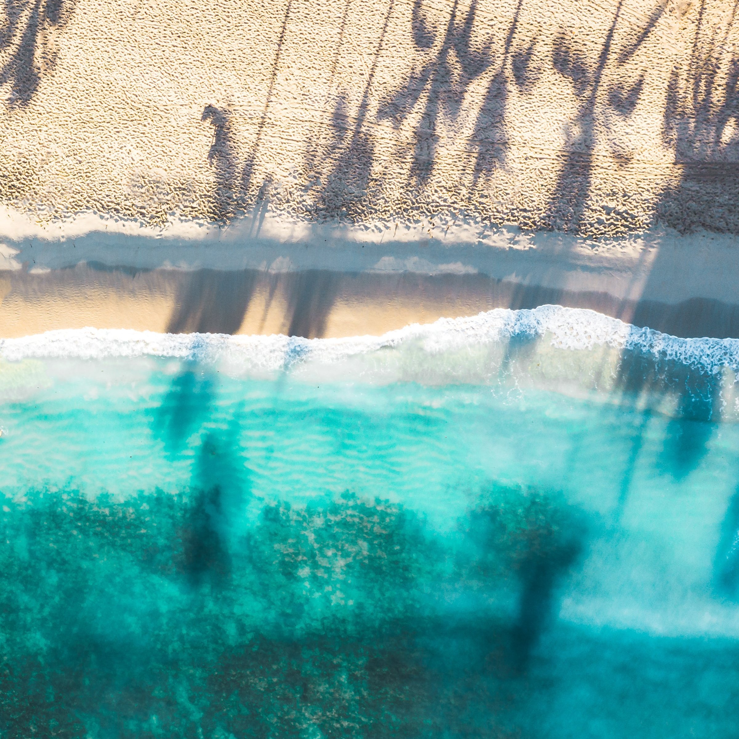 Strand und Meer von oben und Schatten von Palmen