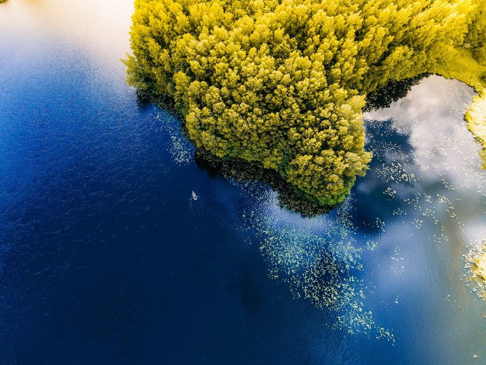 kanu fährt auf einem See neben einem Wald, von oben fotografiert