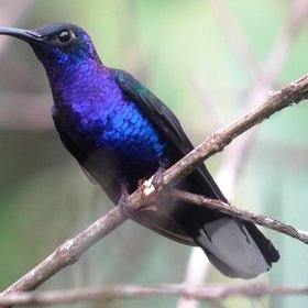 Costa Rica Bewertung Reise