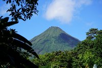 Blick auf den Vulkan Arenal mit verschiedenen Pflanzen im Vordergrund