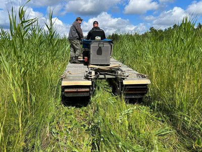 Schilfmäher im Einsatz