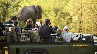 Menschen in einem Jeep beobachten einen Elefanten