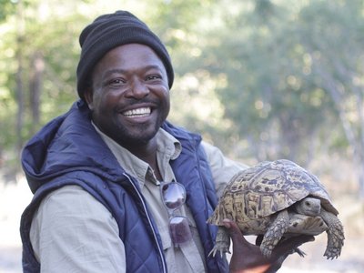 Reiseleiter Rex in Botswana mit einer Schildkröte in der Hand