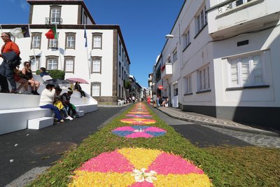 Blumen auf den schwarzen Gasssen der Städte zum Festa do Senhor Santo Cristo dos Milagres