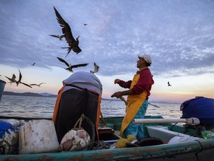 Fischer in einem Fischerboot und einige Möwen