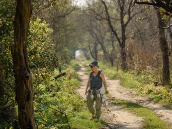 Ein weiblicher Tourist erntet Farn am Rande eines Feldwegs im Suklaphanta Nationalpark