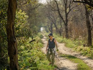 Ein weiblicher Tourist erntet Farn am Rande eines Feldwegs im Suklaphanta Nationalpark